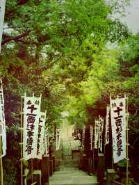 【神奈川県、鎌倉市最古の杉本寺で美しい苔の絨毯と観音様のお堂を参る】
