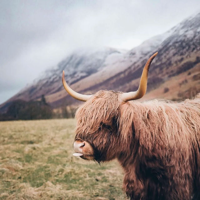 Highland Scotland: A Majestic Landscape of Untamed Beauty