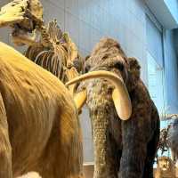 สุดยอดพิพิธภัณฑ์ Shanghai Natural History Museum