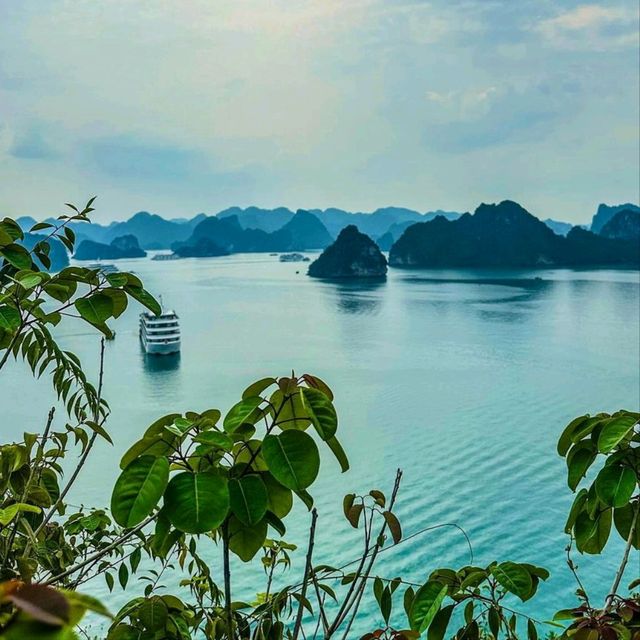 🚢 Experience an Unforgettable Luxury Cruise Holiday in Vietnam! 🇻🇳✨