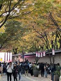 ชมใบไม้เปลี่ยนสีที่ถนนจองดงกิล (정동길) 🍁