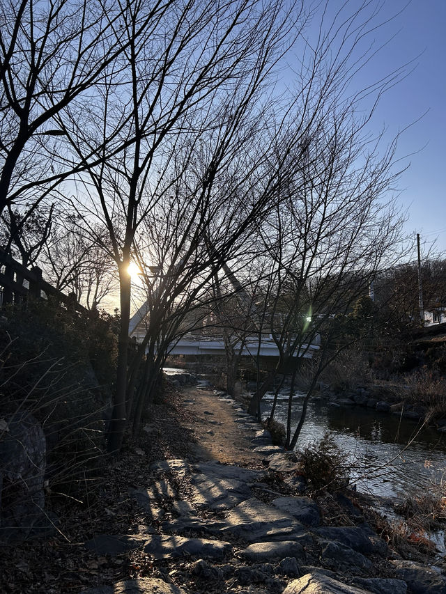 겨울 햇살이 강물에 반짝이는 모습이 마치 수채화 같은 안양천🇰🇷