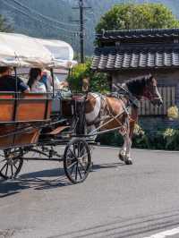 【大分県/由布市】街の中を馬が歩く！？