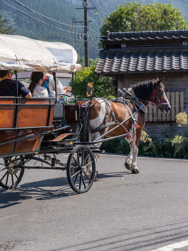 【大分県/由布市】街の中を馬が歩く！？