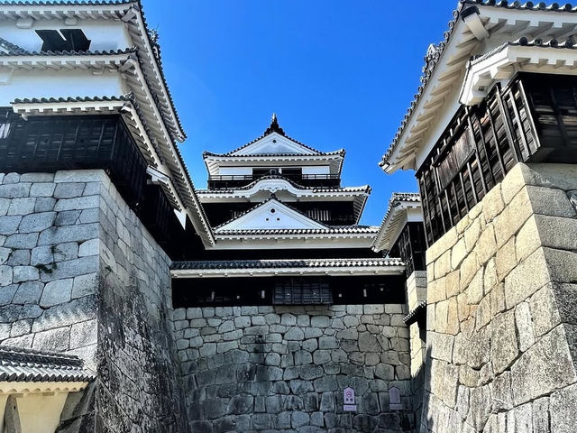 歴史と絶景を楽しむ松山城の魅力