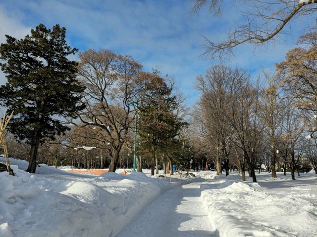 겨울여행 북해도 아사히카와 인기 공원 ⭐️Tokiwa Park 산책