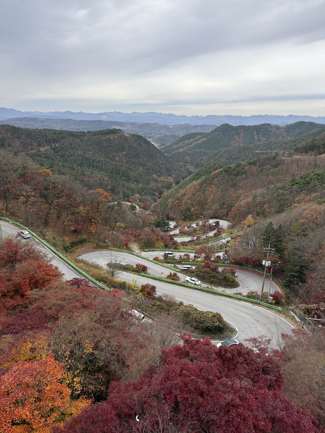 가을 단풍여행 스팟🍁