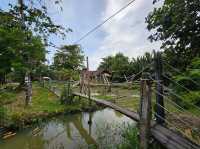 Get Growing Community Farm