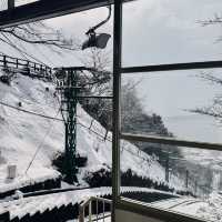 Amanohashidate อามาโนะฮาชิดาเตะ 🎏