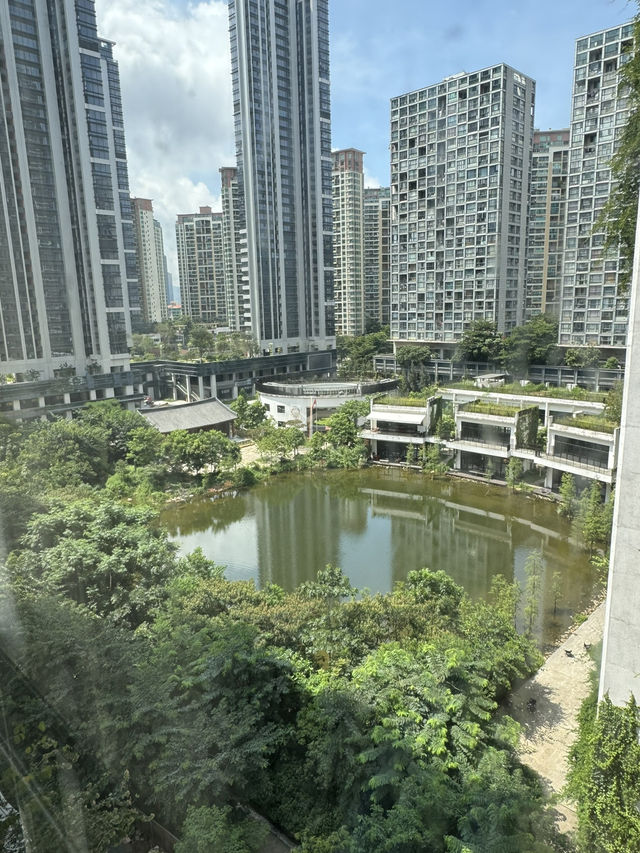 深圳「有咩梧桐」親子品茶2日1夜之旅