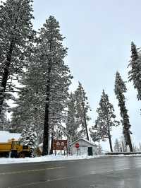 Yosemite National Park 