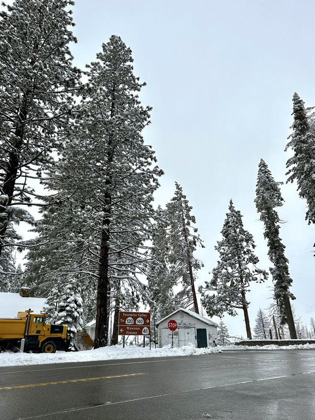 Yosemite National Park 