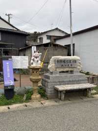 【福岡 相島】世界6大猫スポットで猫と触れ合う！