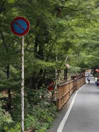 Sip and Unwind: A Tranquil Drink at Hyoue Café, Mount Kibune