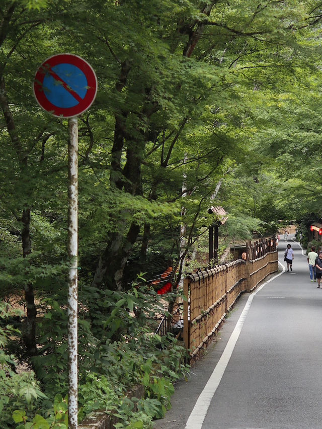 Sip and Unwind: A Tranquil Drink at Hyoue Café, Mount Kibune