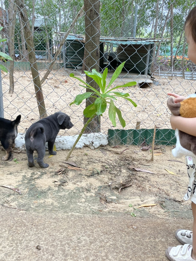 아기랑 겨울 해외여행지 추천:: 나트랑 깜란🌴