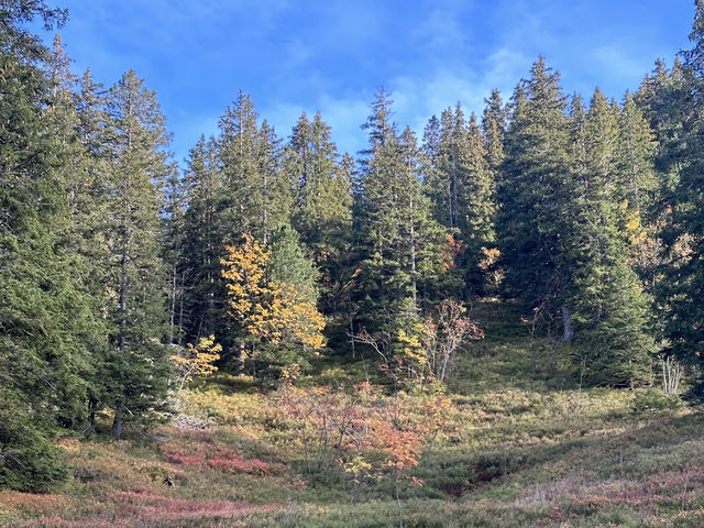 Hike into Serenity: Exploring Flumserberg’s Alpine Trails