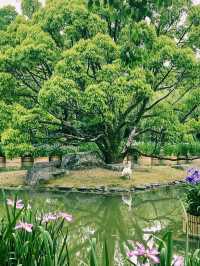 アート好き必見！久留米市のオシャレな美術館💠