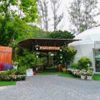 ลานกางเต็นท์บรรยากาศดี