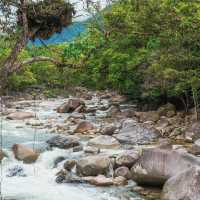 【オーストラリア】大自然に包まれる癒しの森！モスマン渓谷🌿🏞️