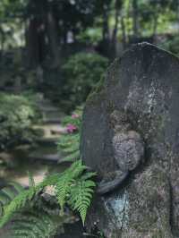 日本根津美術館｜藝術與自然的完美結合 ✨