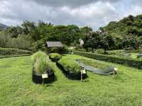 Lessons of Ecology at the Lions Nature Education Centre