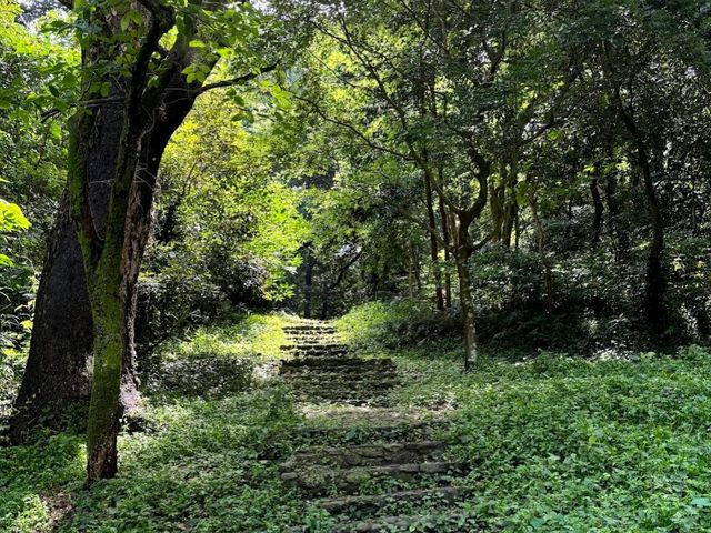Minami Park (南公園)