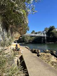 Sydney’s Best-Kept Secret: Discover Parsley Bay Reserve