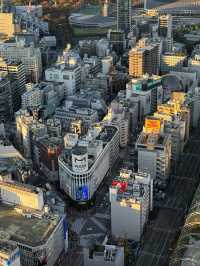 俯瞰東京的雙重魅力：新宿都廳與澀谷SKY的觀景台之旅 🌇✨