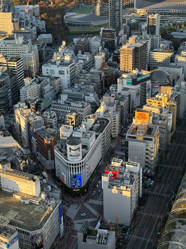 俯瞰東京的雙重魅力：新宿都廳與澀谷SKY的觀景台之旅 🌇✨
