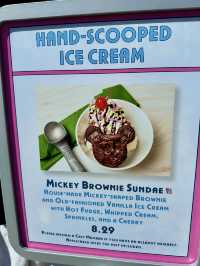 フロリダ🇺🇸アイスブラウニー🍨
