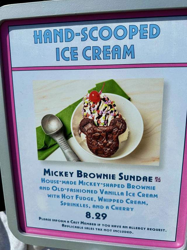 フロリダ🇺🇸アイスブラウニー🍨
