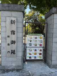 東京植物的夢幻之旅：探索清澄庭園與新宿御苑 🌷🌳