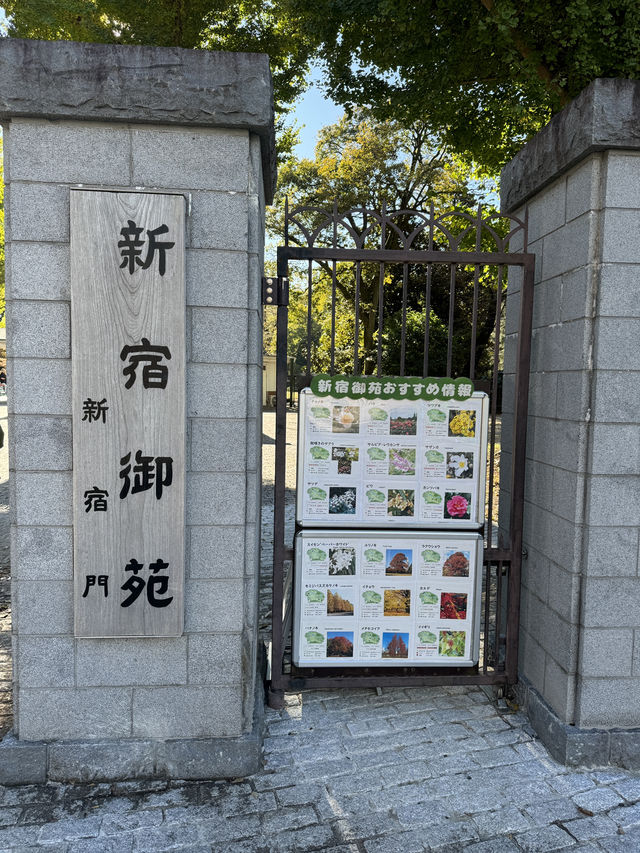 東京植物的夢幻之旅：探索清澄庭園與新宿御苑 🌷🌳