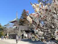 One day trip จุดท่องเที่ยวแถวนาริตะ 