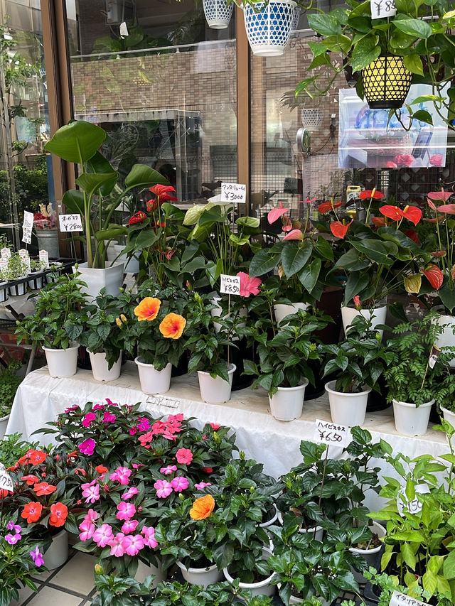 Shinagawa – Tokyo’s Underrated Gateway 