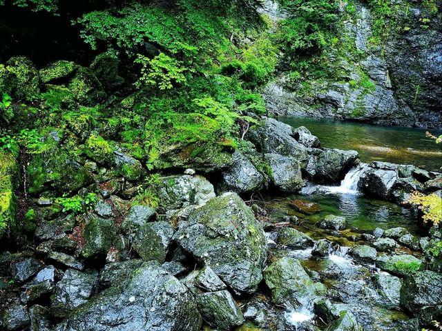 หุบเขามิโน (Minoo Park 箕面公園)