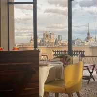 Best view over river seine