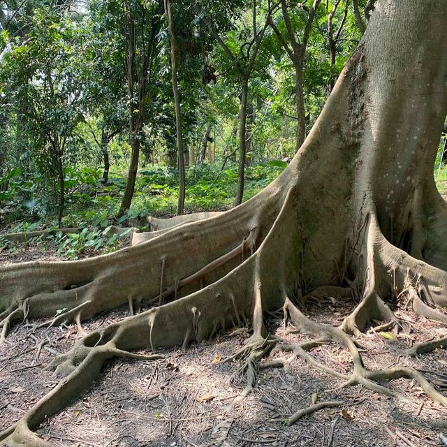 台北植物園 (Taipei Botanical Garden)