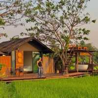 ที่พักกลางทุ่งนา #เชียงใหม่ ฟีลโคตรดี 🏠🛁🌾
