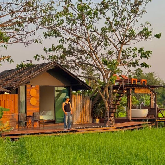 ที่พักกลางทุ่งนา #เชียงใหม่ ฟีลโคตรดี 🏠🛁🌾