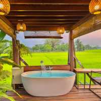 ที่พักกลางทุ่งนา #เชียงใหม่ ฟีลโคตรดี 🏠🛁🌾