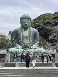 鎌倉大佛殿高德院