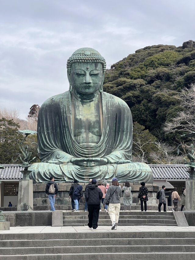 鎌倉大佛殿高德院