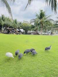ป้าบุญคาเฟ่ที่มีครบจบในที่เดียว 