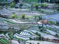 Yuan Yang Terraces Fields