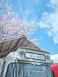【岐阜】行かなきゃ損‼️レトロ駅舎と桜のコラボ🌸旧駅舎でタイムスリップ体験！