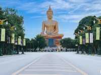 วัดพิกุลทอง