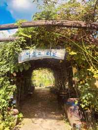 A Unique Garden Experience 🛶🌺 