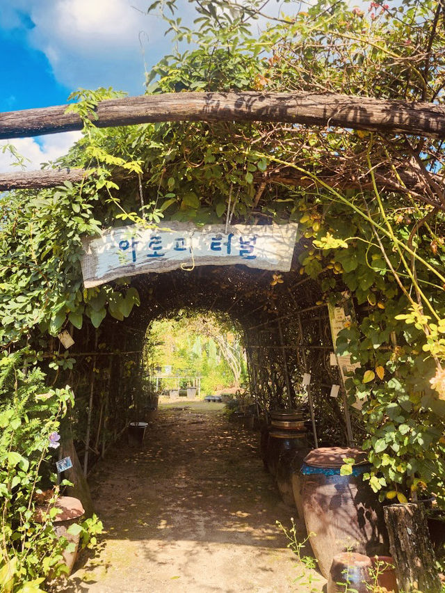 A Unique Garden Experience 🛶🌺 